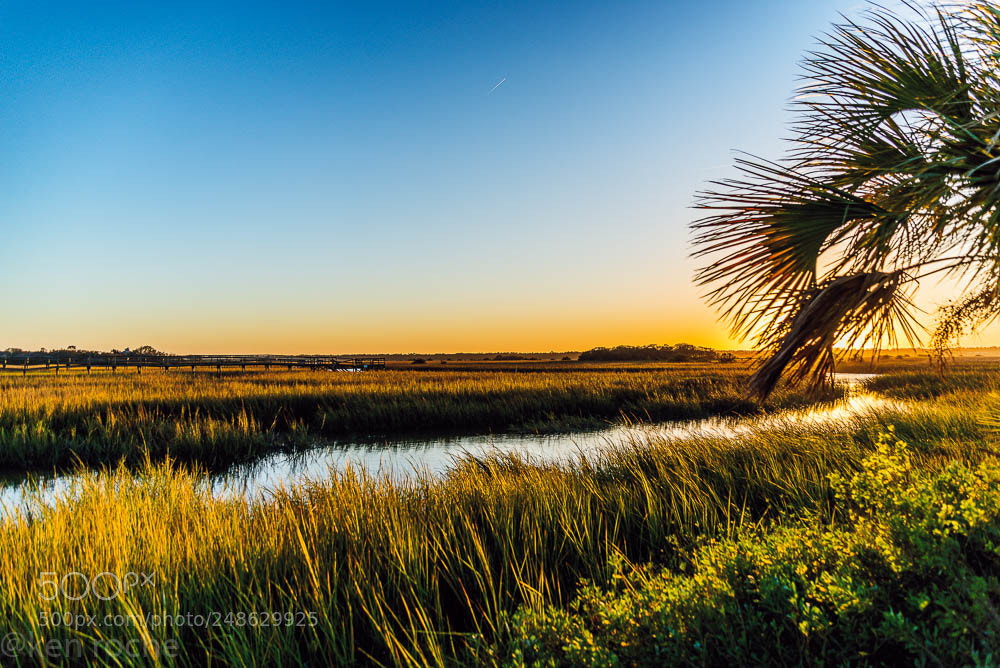 Nikon D610 sample photo. Florida river photography