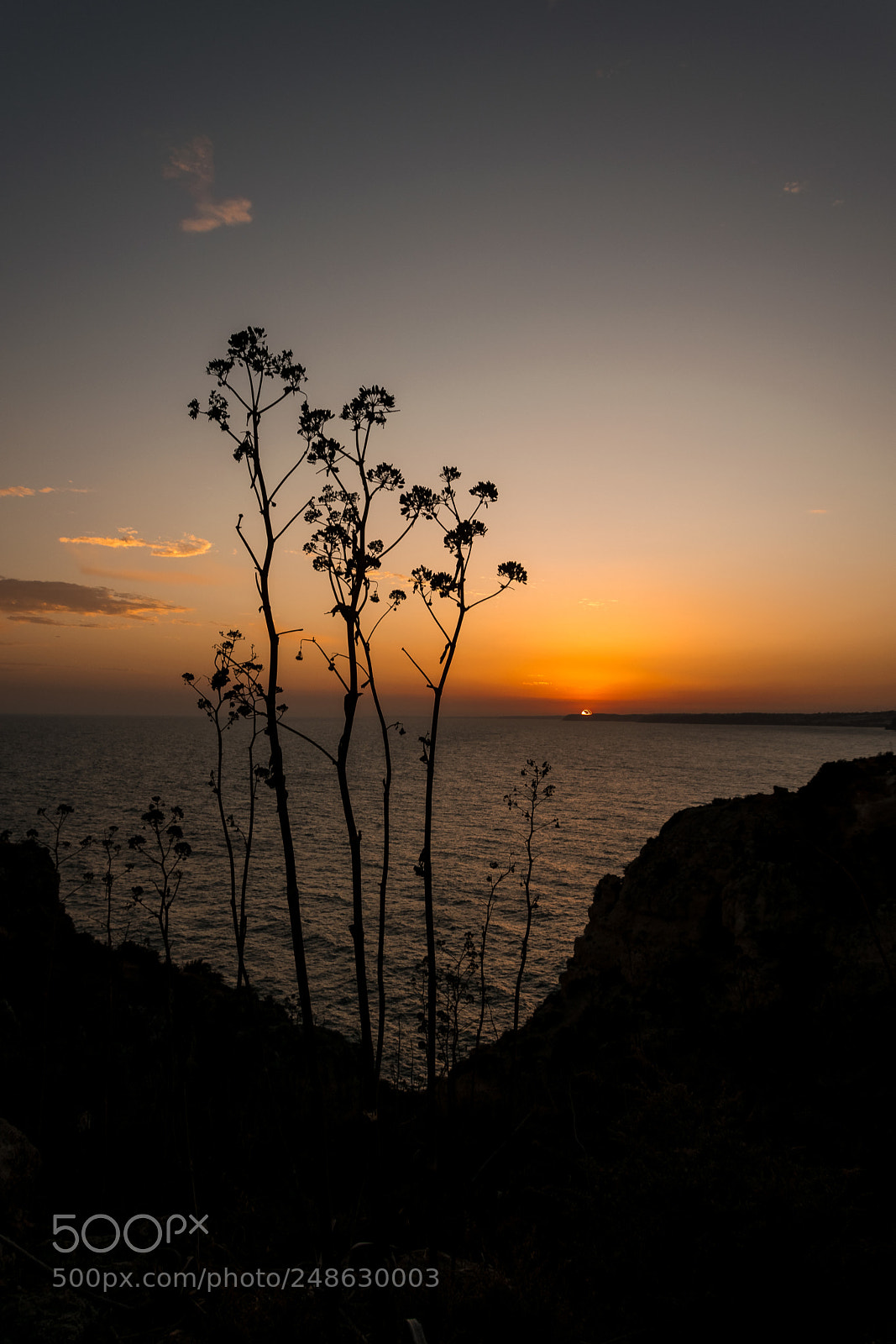 Nikon D5300 sample photo. Sunset at ponta da photography