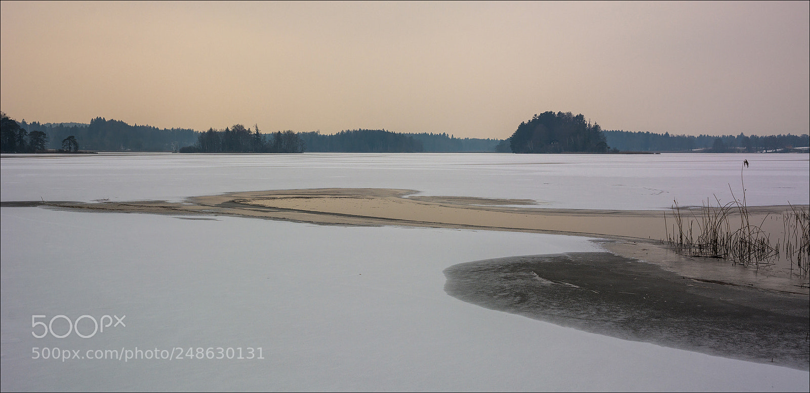 Nikon D7100 sample photo. °°° cold °°° photography