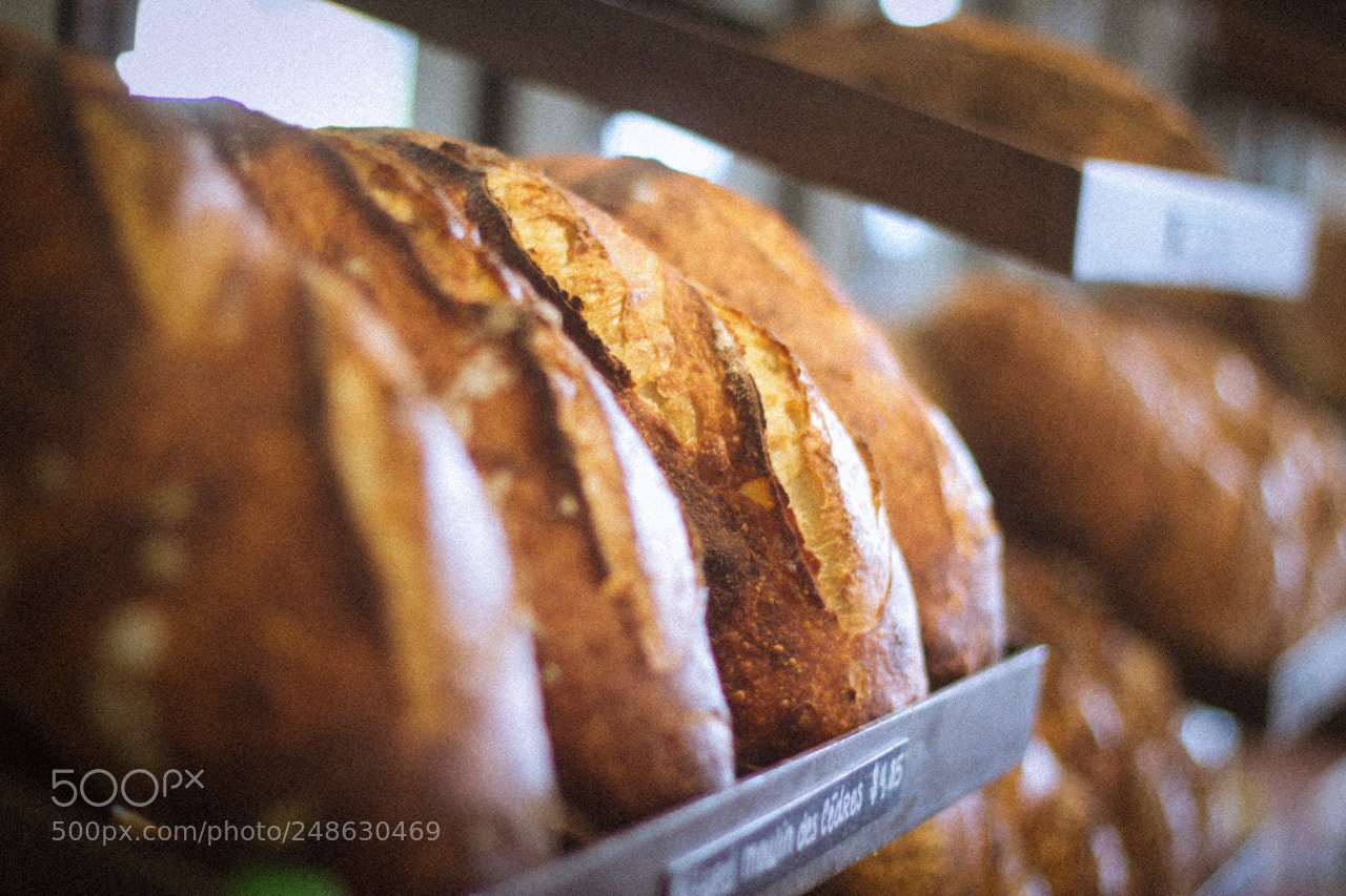 Canon EOS 600D (Rebel EOS T3i / EOS Kiss X5) sample photo. Automne boulangerie photography