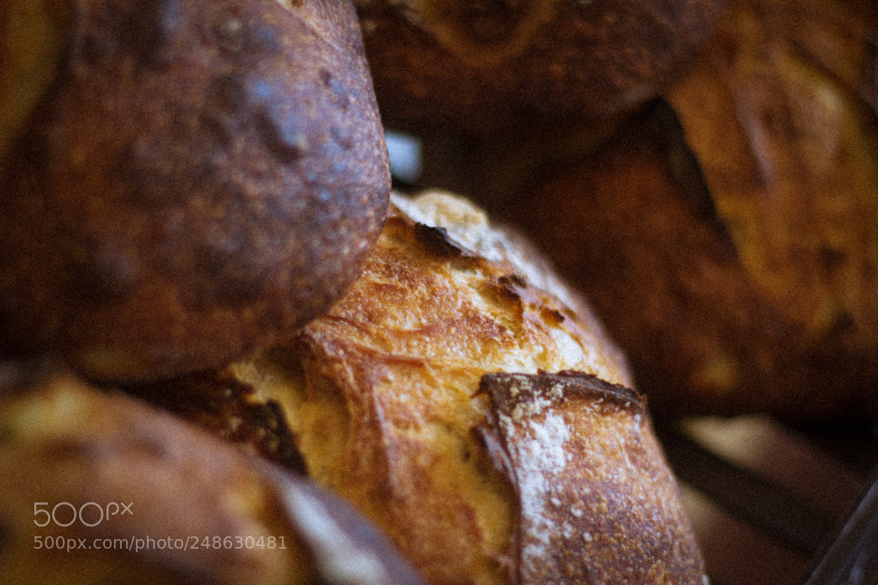 Canon EOS 600D (Rebel EOS T3i / EOS Kiss X5) sample photo. Automne boulangerie photography