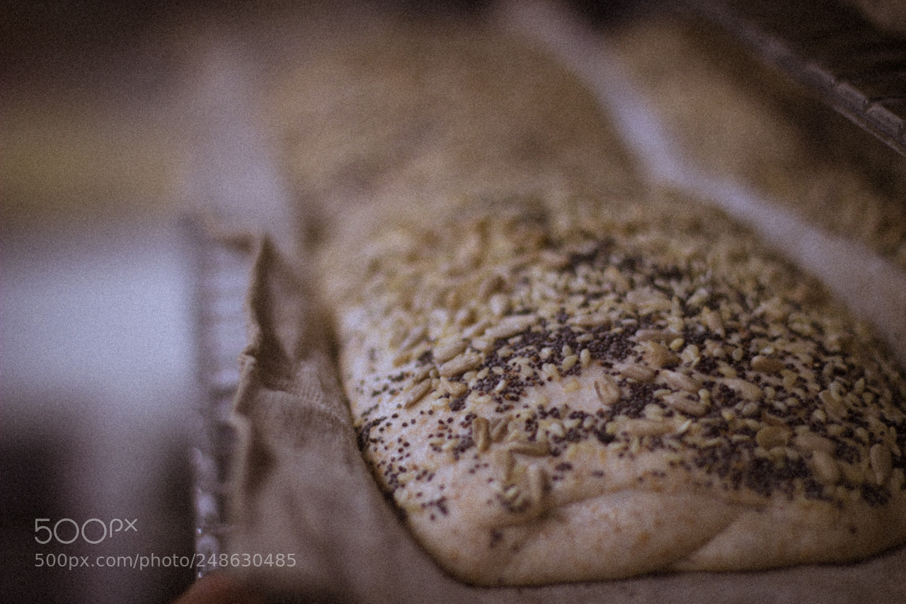 Canon EOS 600D (Rebel EOS T3i / EOS Kiss X5) sample photo. Automne boulangerie photography