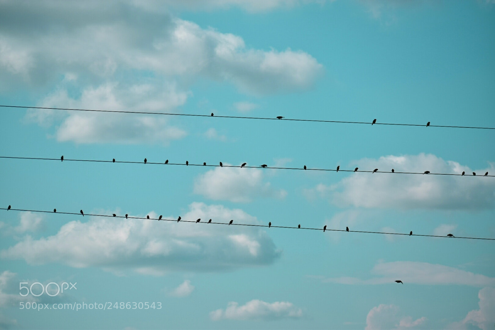 Nikon D5300 sample photo. Untitled photography