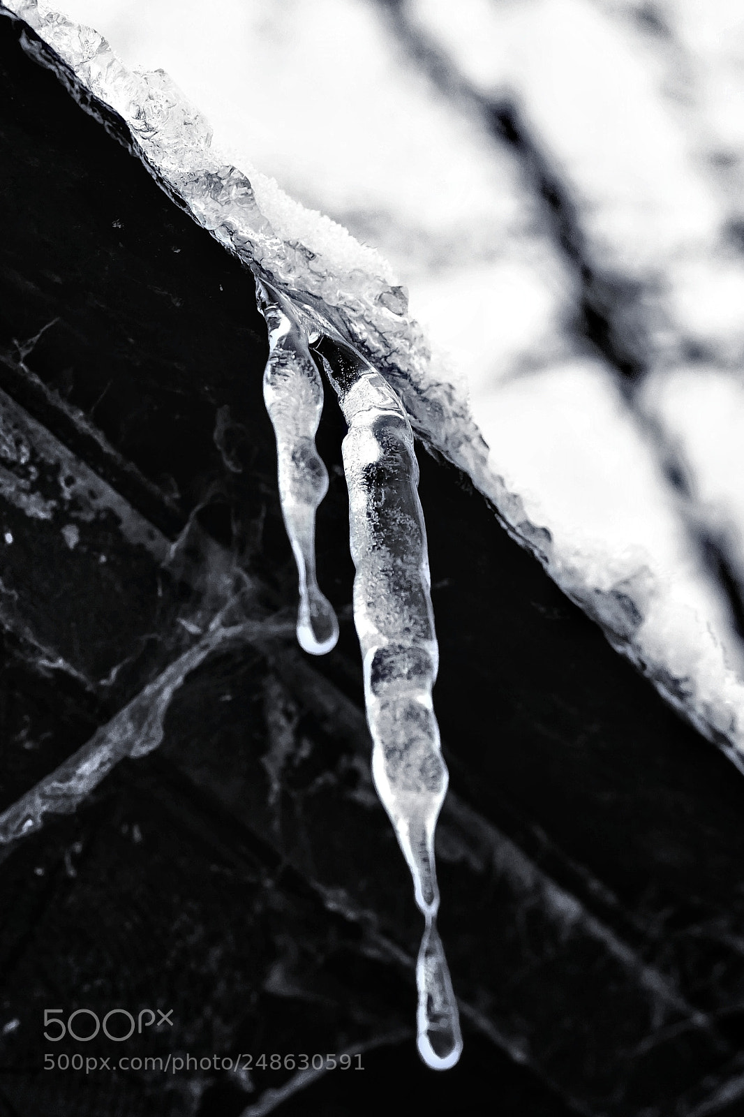 Sony a6000 sample photo. Ice shards photography