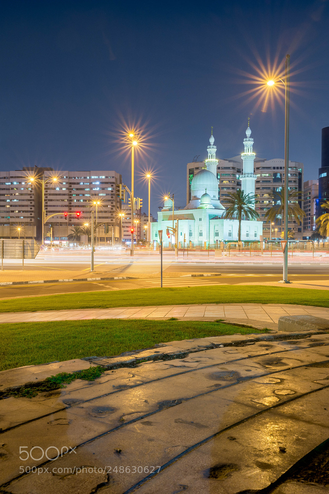 Nikon D610 sample photo. Mosque photography