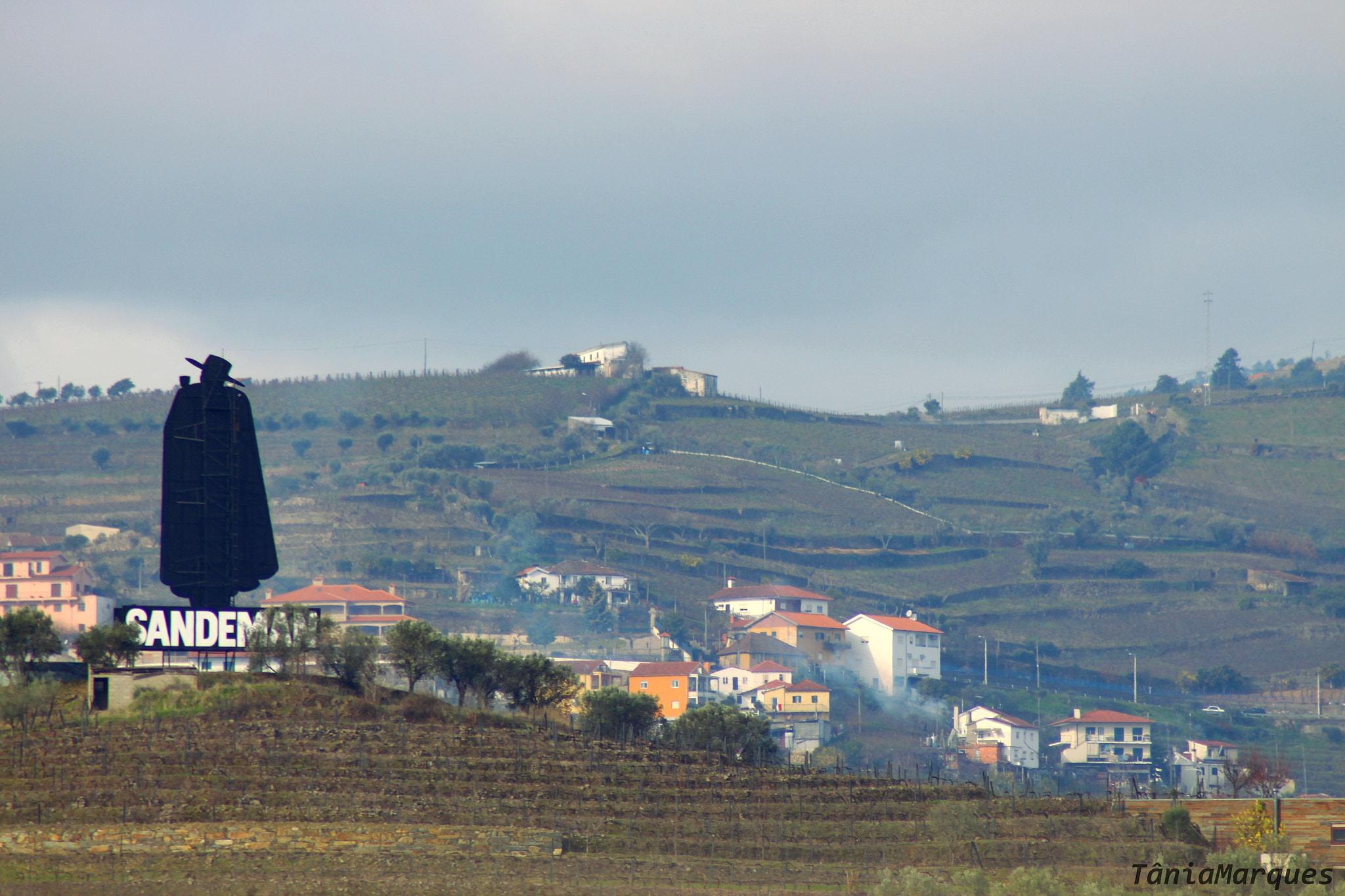 Canon EOS 700D (EOS Rebel T5i / EOS Kiss X7i) sample photo. The man in black photography
