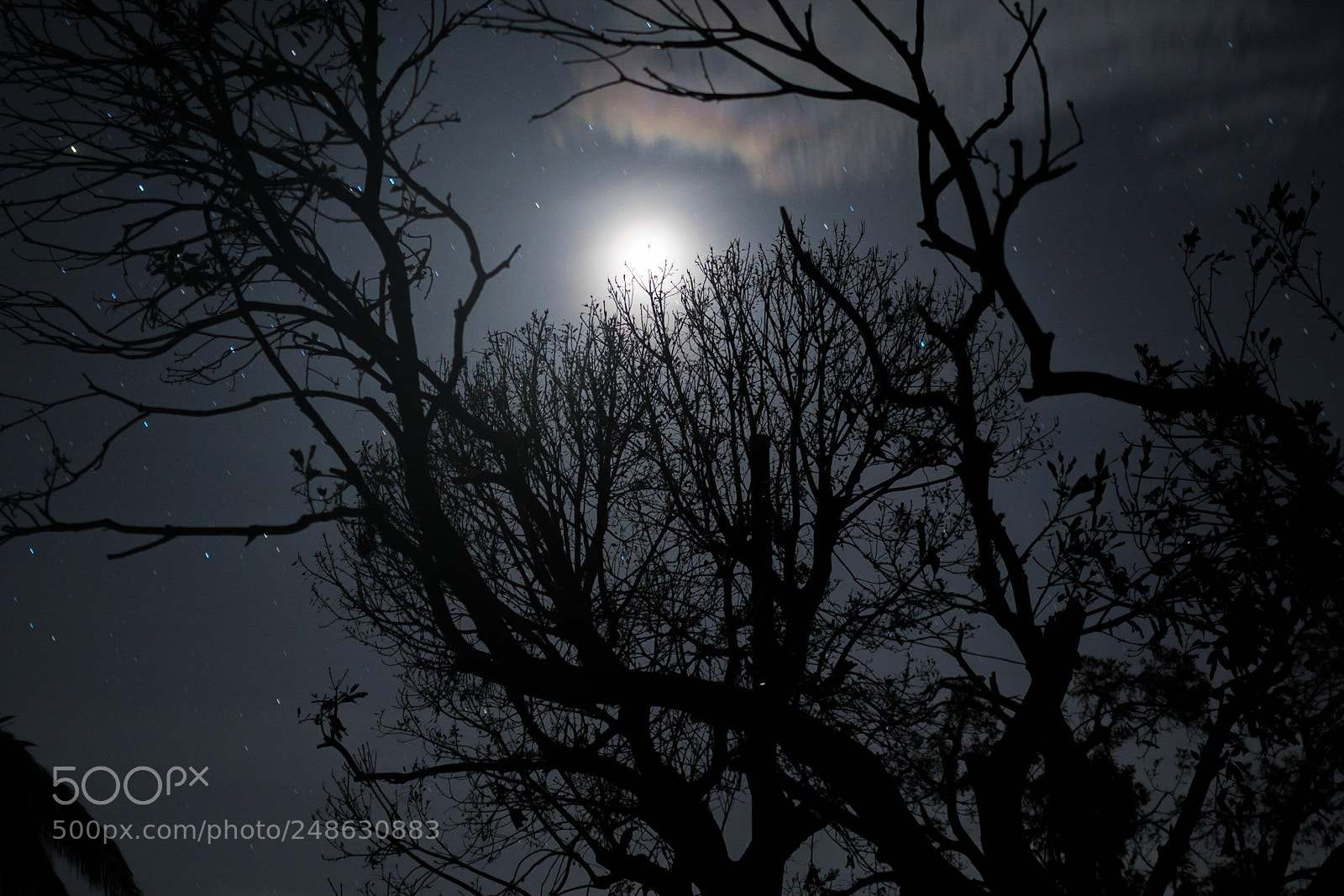 Pentax K-70 sample photo. Silhouette photography