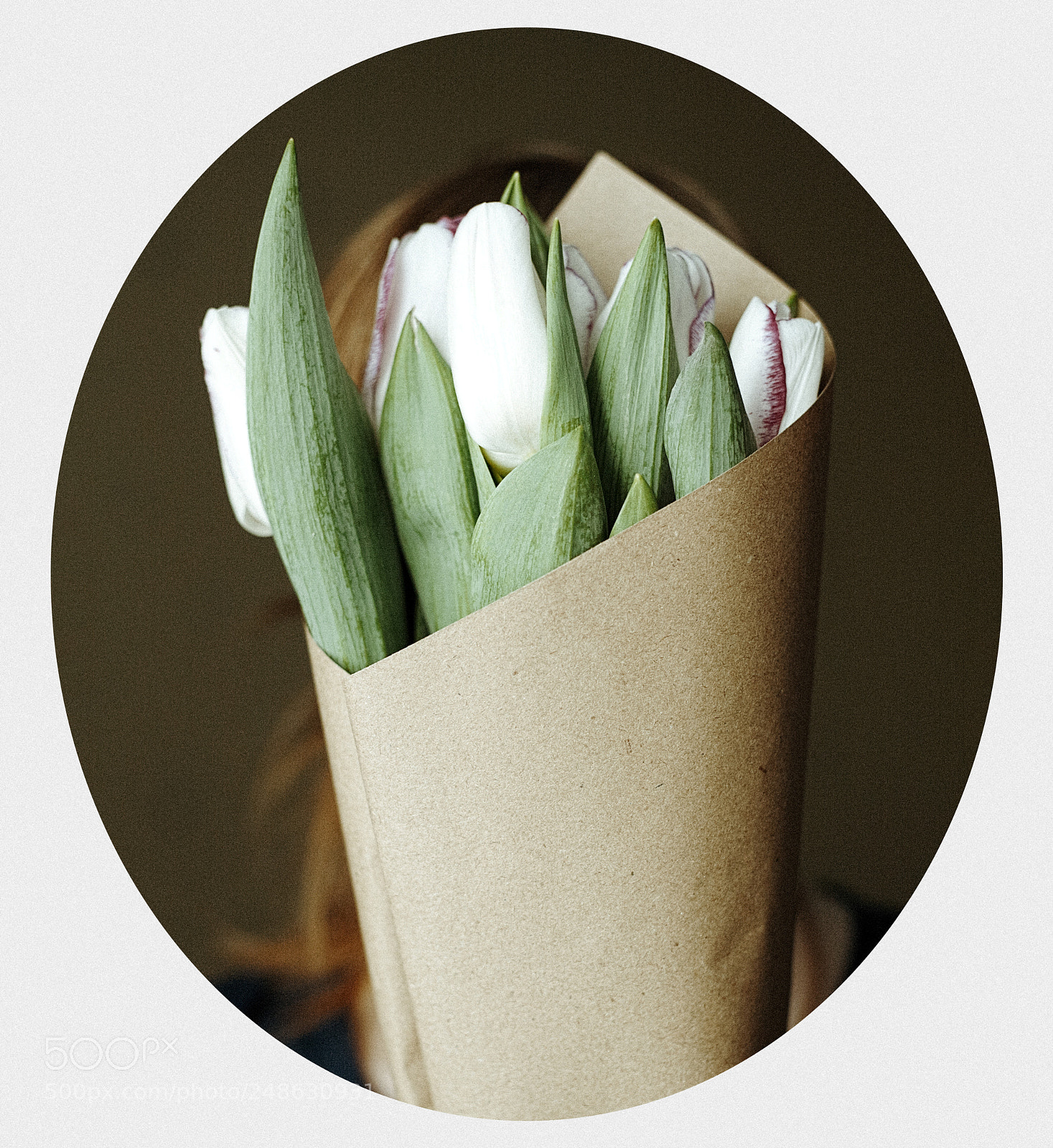 Canon EOS 5D sample photo. Tulips photography