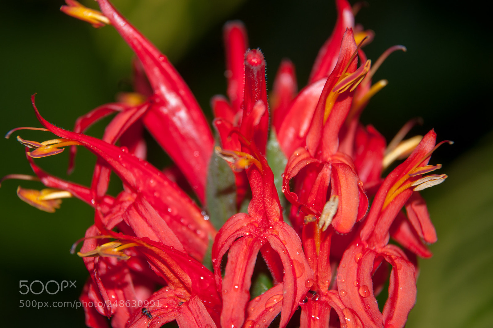 Nikon D90 sample photo. Untitled photography
