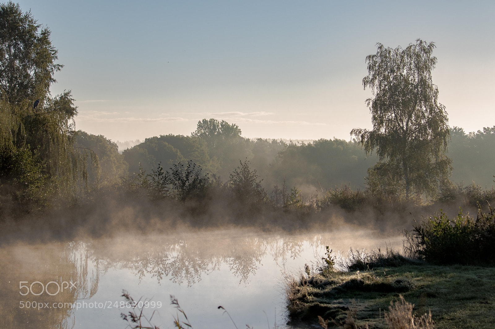 Canon EOS 7D Mark II sample photo. Misty morning photography