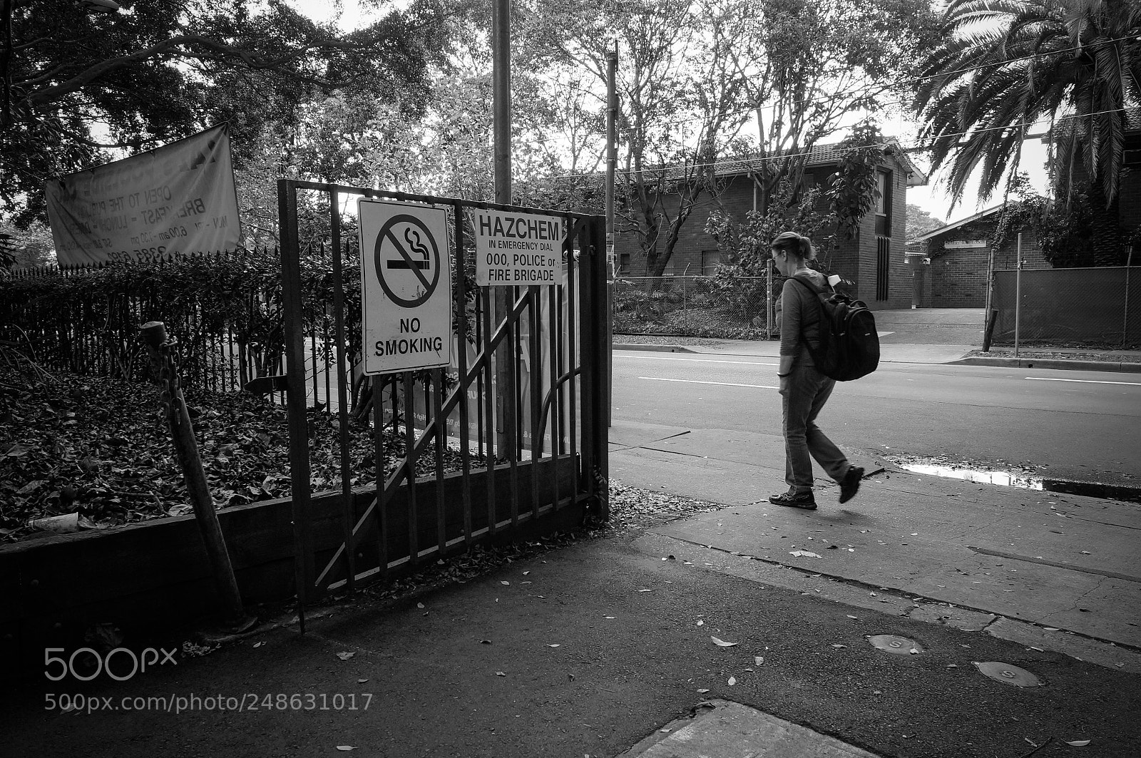 Sony Alpha NEX-5N sample photo. Untitled photography