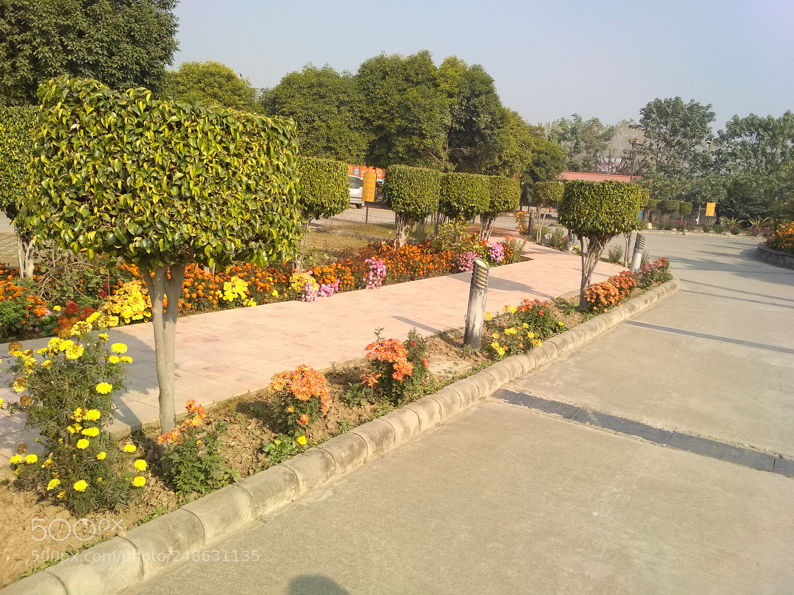 Xiaomi Redmi 4 Pro sample photo. Untitled photography