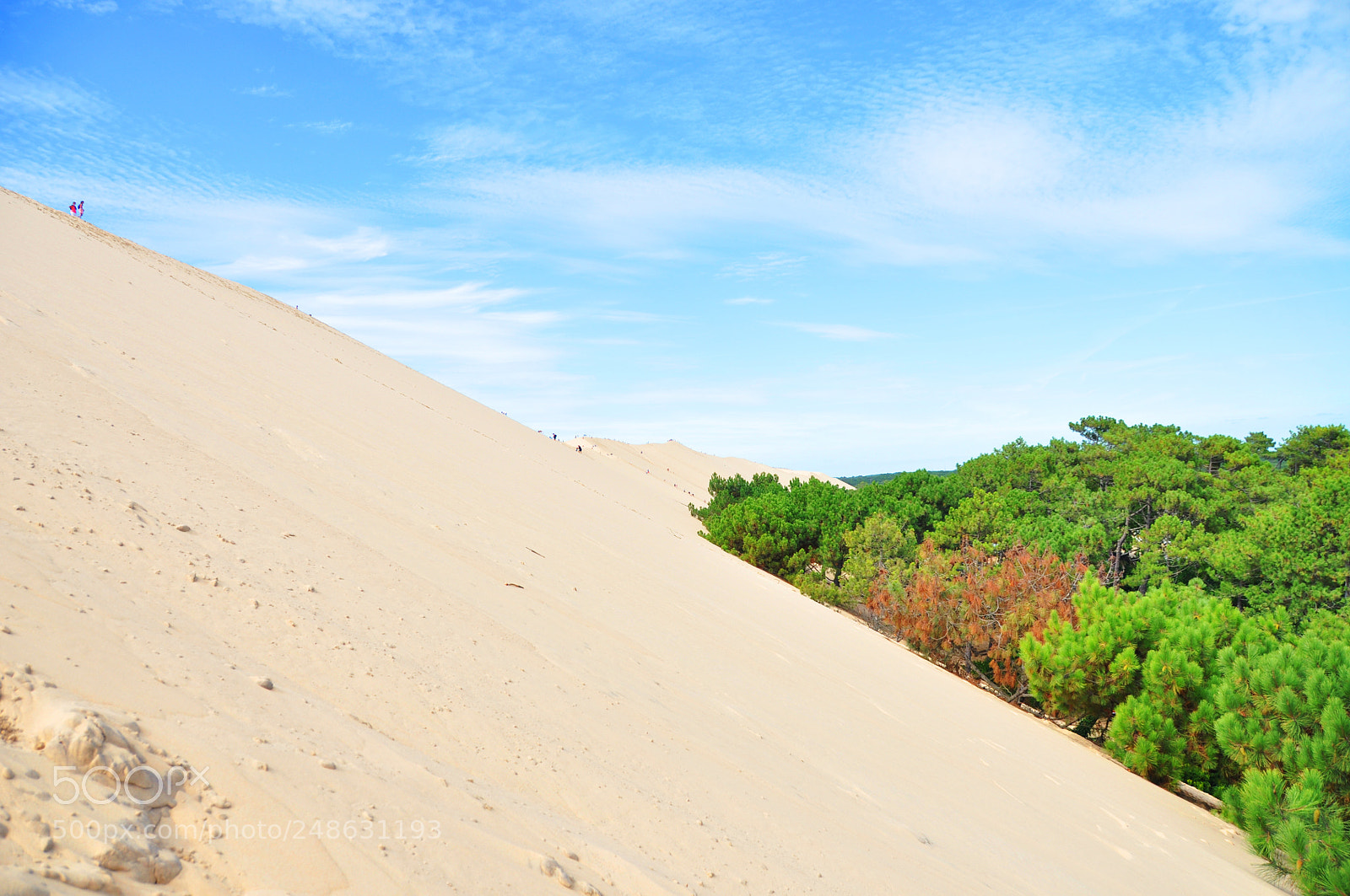 Nikon D5000 sample photo. The lost sands photography