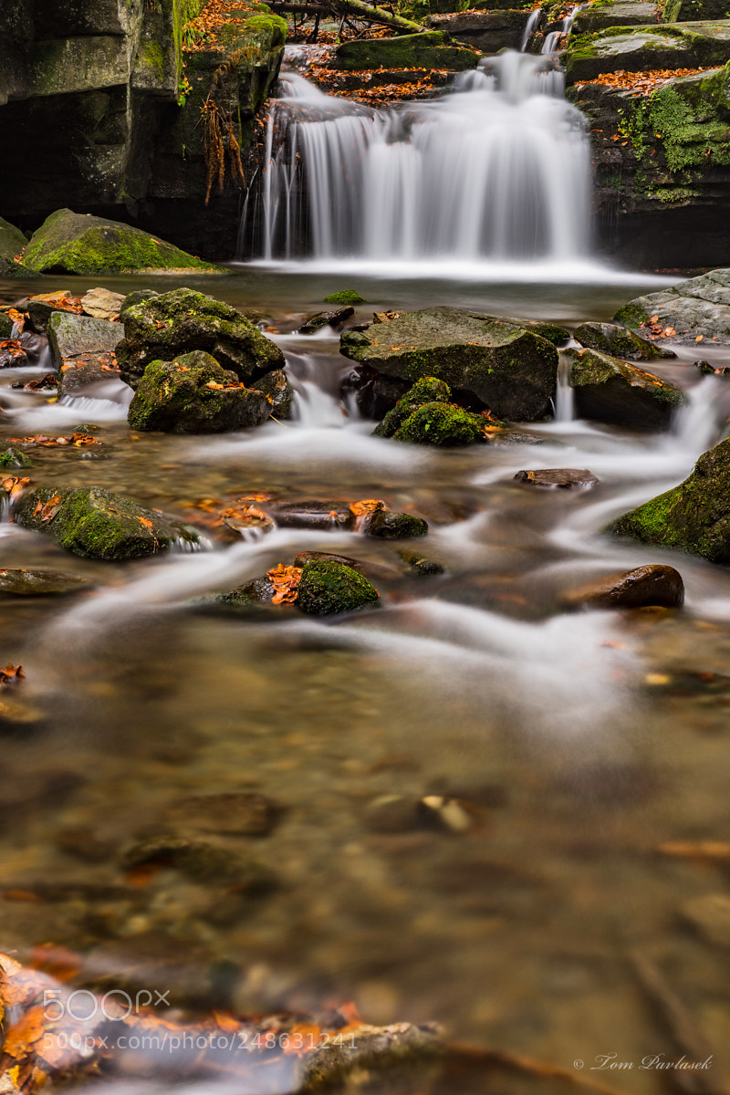 Nikon D600 sample photo. Autumn waterfalls with stones photography