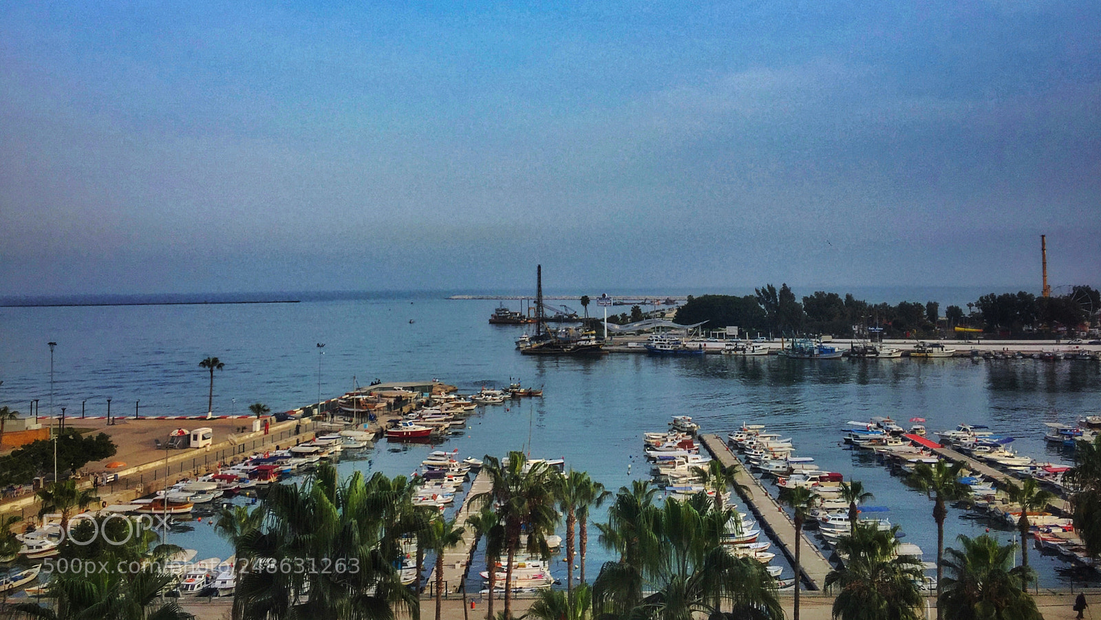 Apple iPhone 6 sample photo. Lens : iphone 6 photography