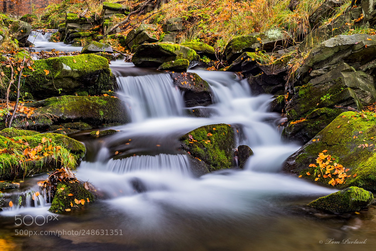 Nikon D600 sample photo. View of autumn waterfalls photography