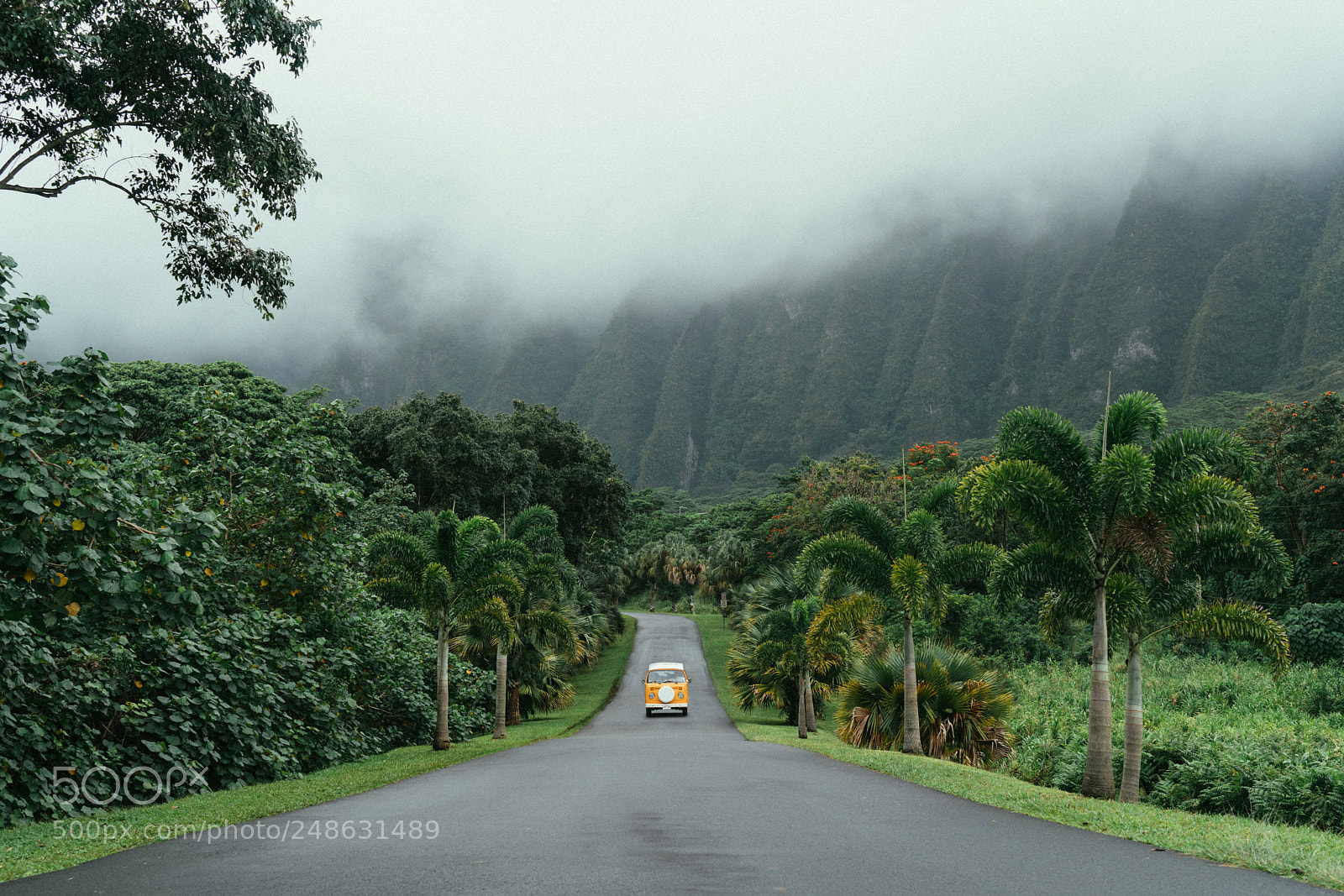 Sony a7R II sample photo. The perfect road photography