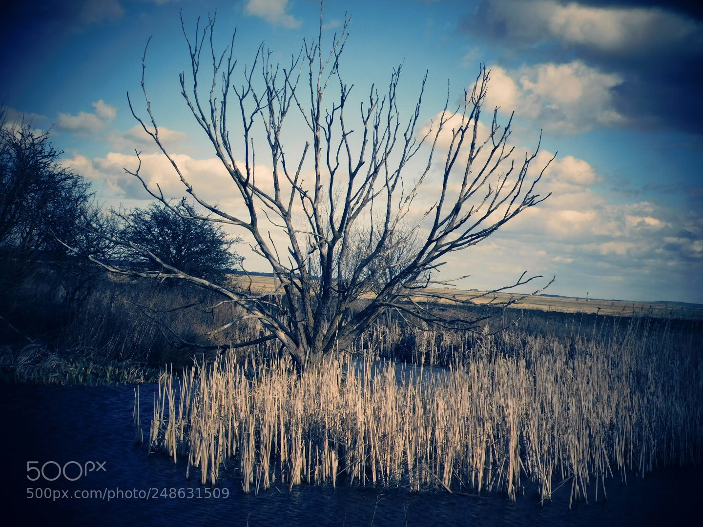 Nikon Coolpix B500 sample photo. Nature reserve photography