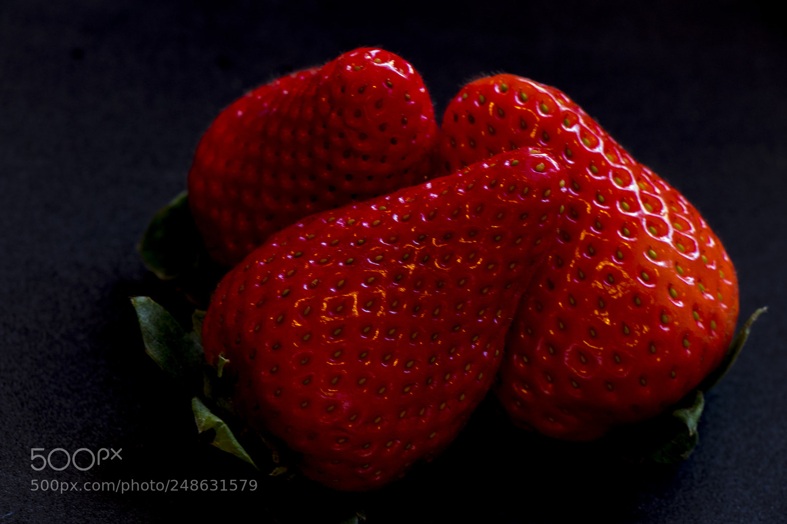 Canon EOS 80D sample photo. Menage a trois photography