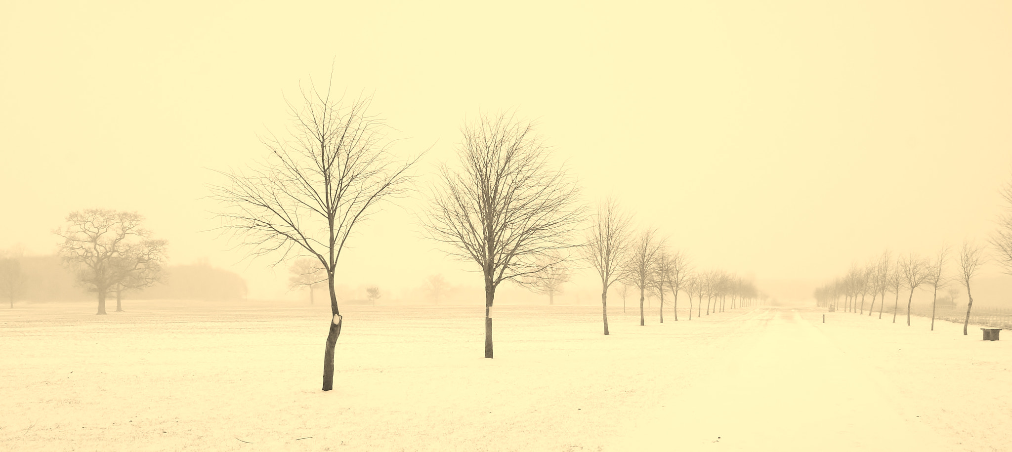 Sony Alpha DSLR-A380 sample photo. A winter poem .... photography