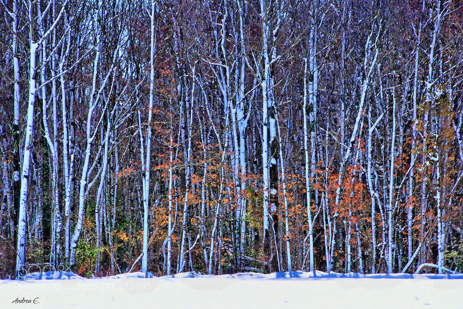 Nikon D7200 sample photo. After the storm photography