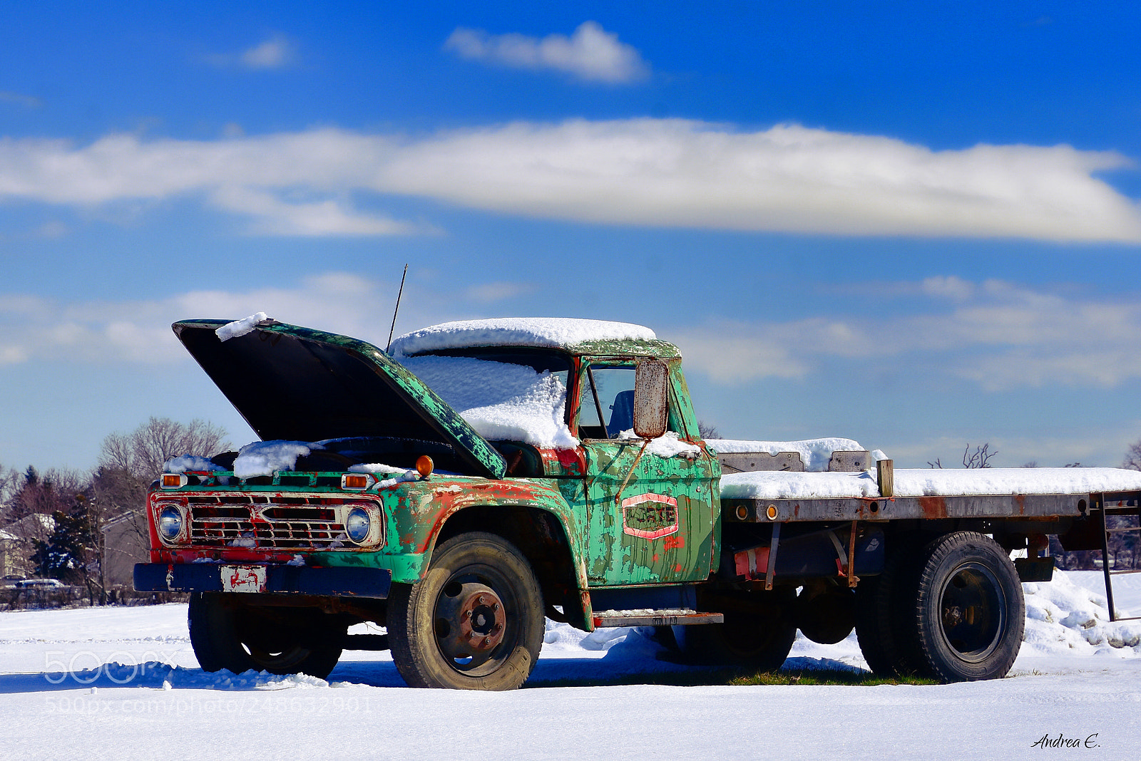Nikon D7200 sample photo. Taking the day off photography