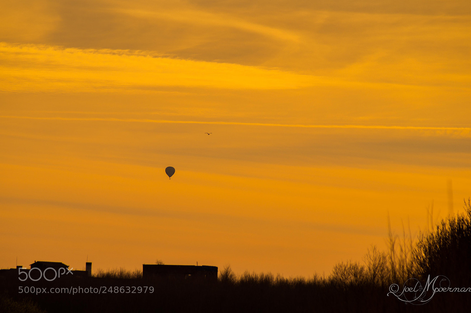 Sony SLT-A57 sample photo. Travel under the sunset ! photography