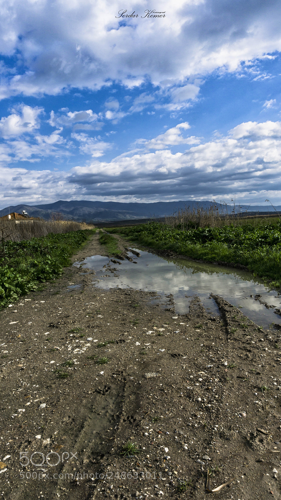 Sony a6000 sample photo. _dsc9217-1.jpg photography