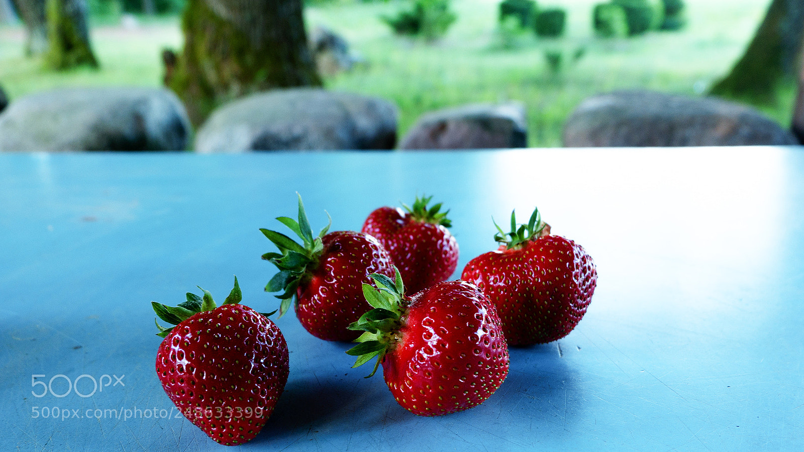 Fujifilm X-A1 sample photo. Strawberries photography