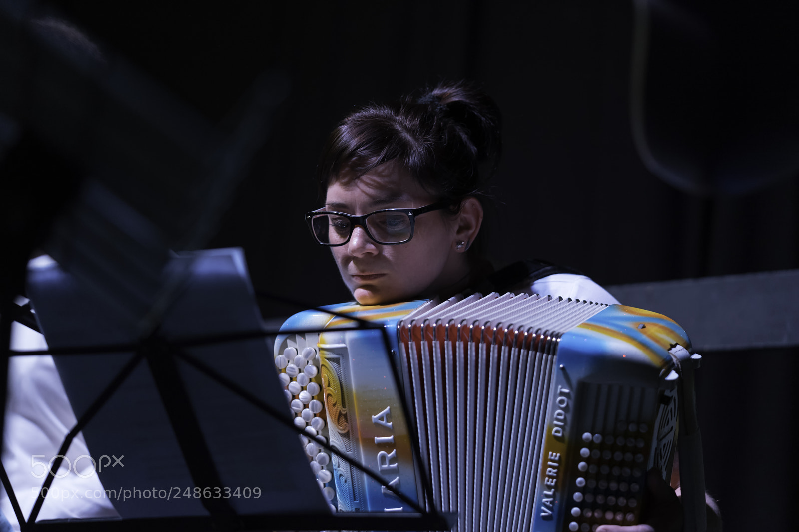 Sony a7 II sample photo. Accordionist photography