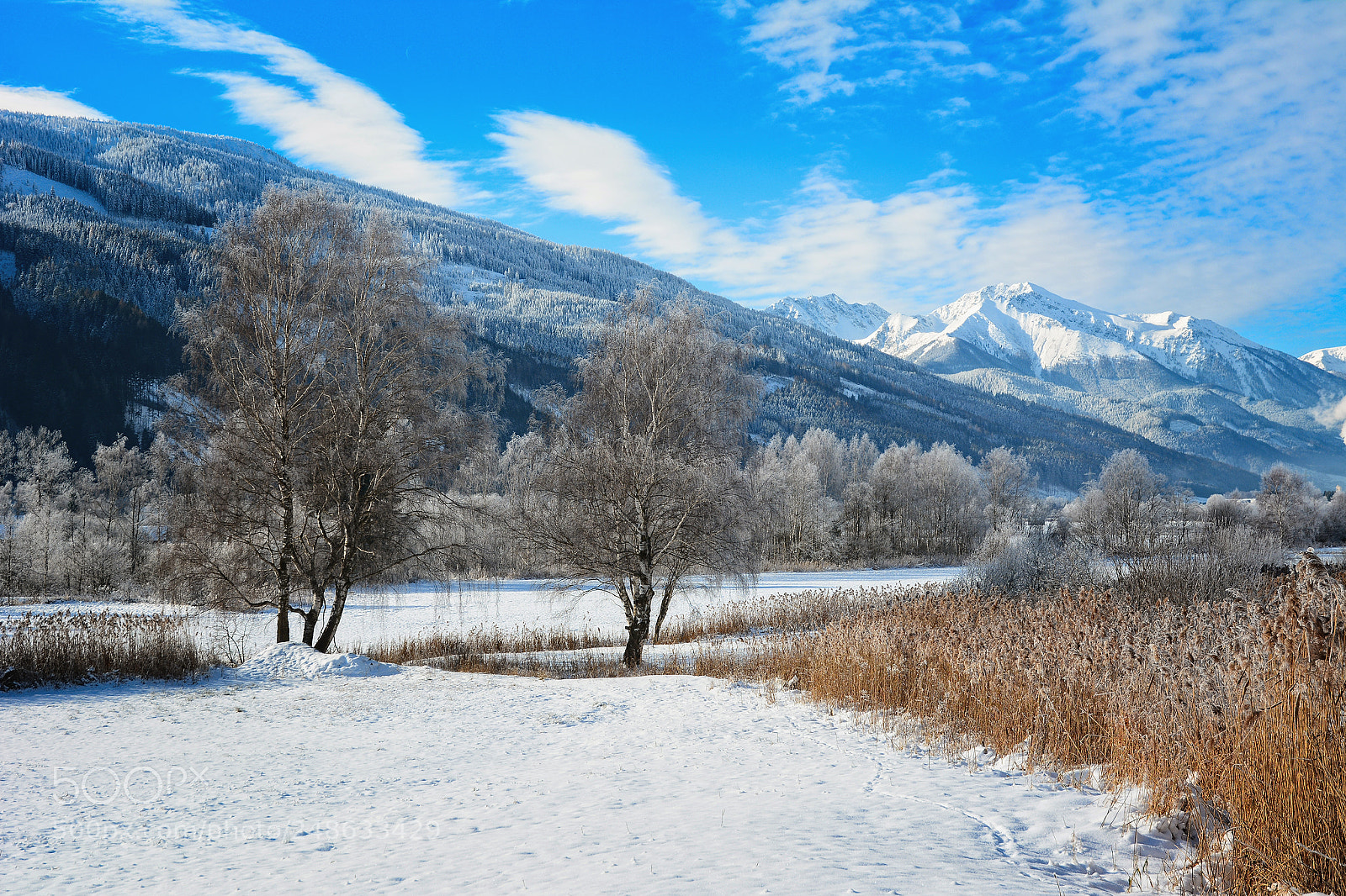 Nikon D7100 sample photo. Winterwonderland styria photography
