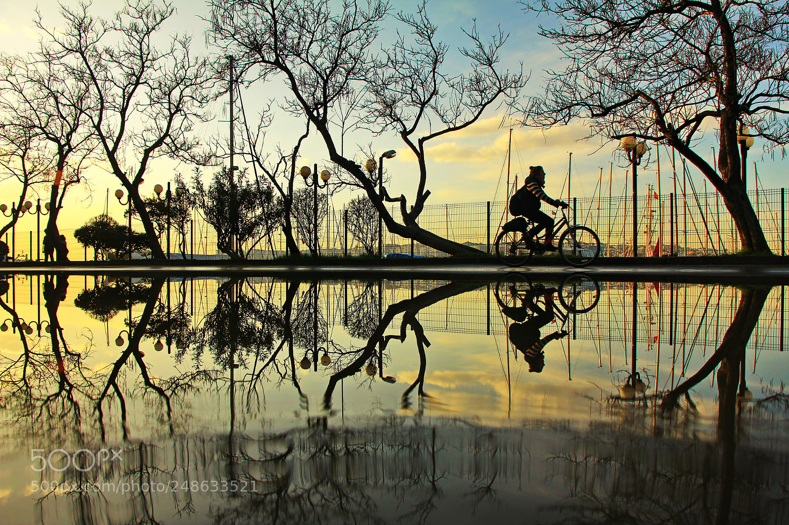 Canon EOS 60D sample photo. Untitled photography
