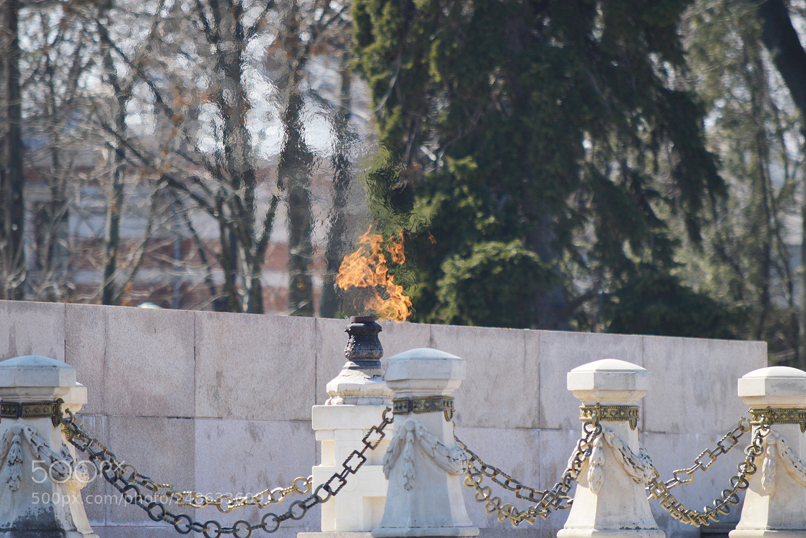 Nikon D3200 sample photo. The flame photography