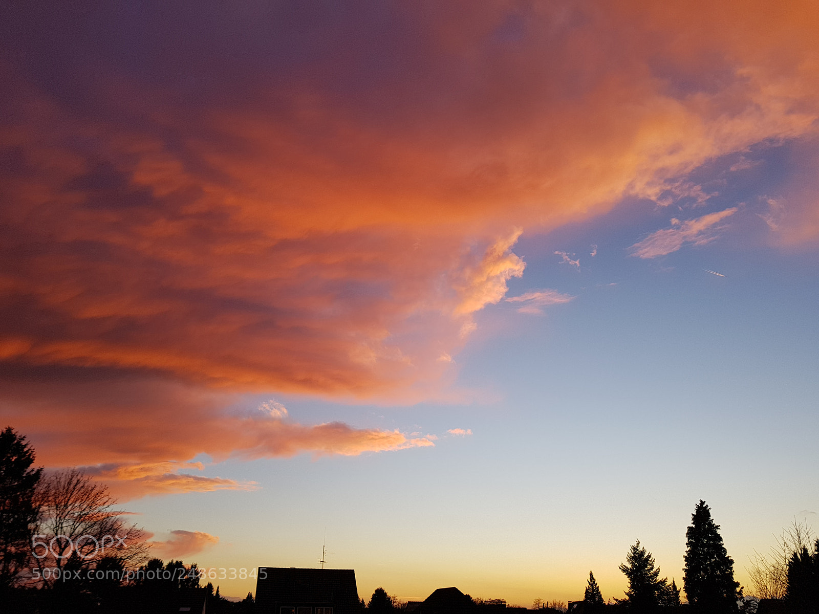 Samsung Galaxy S8+ sample photo. Untitled photography