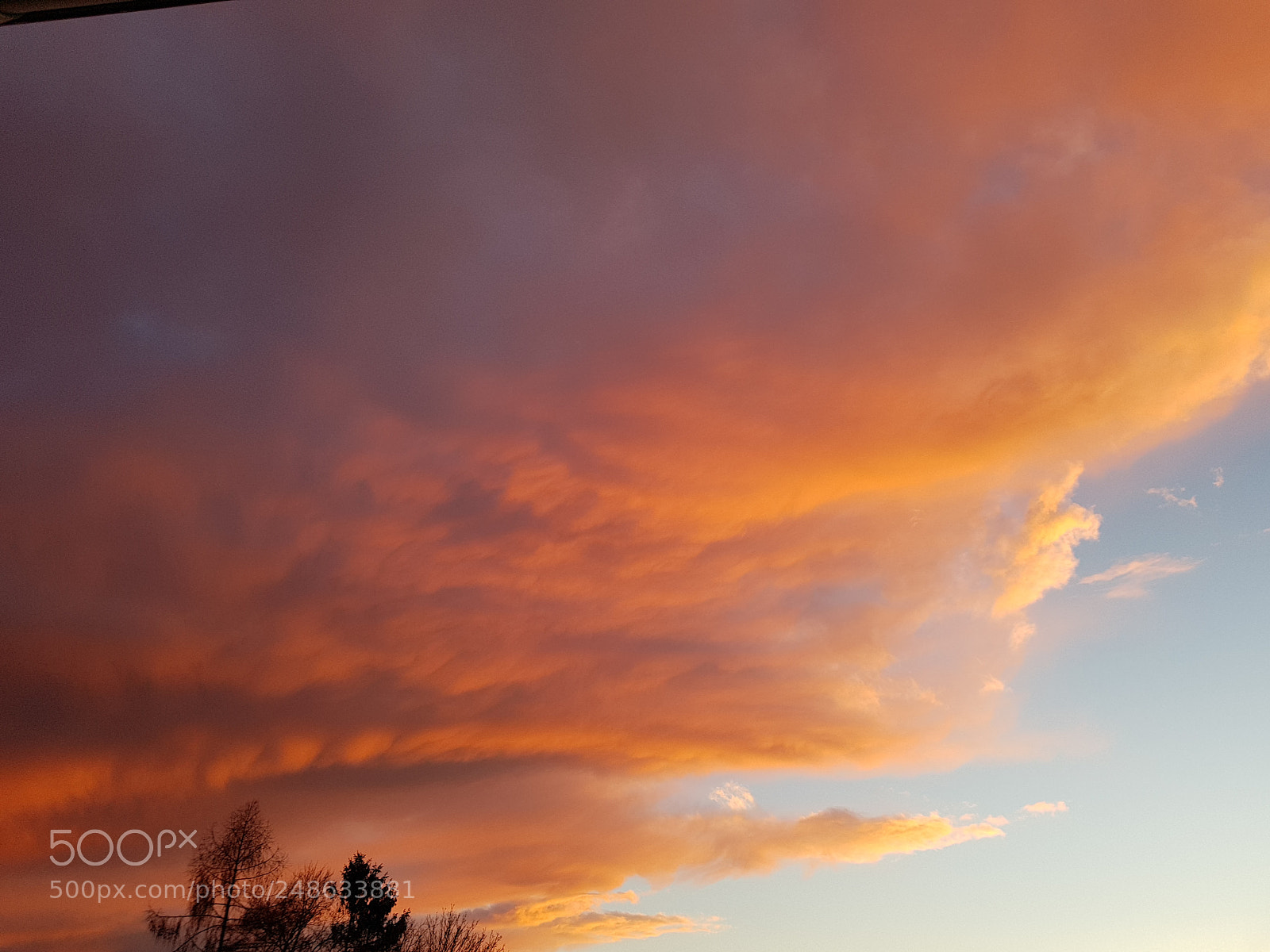 Samsung Galaxy S8+ sample photo. Untitled photography