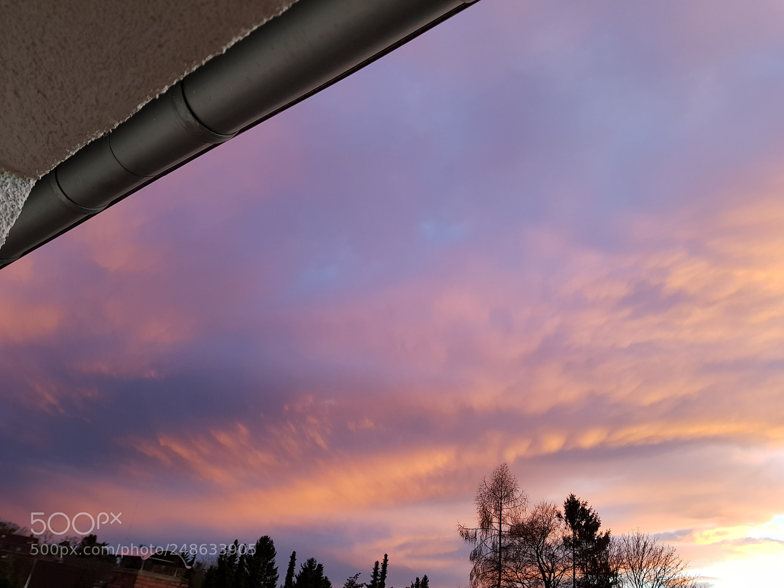 Samsung Galaxy S8+ sample photo. Untitled photography