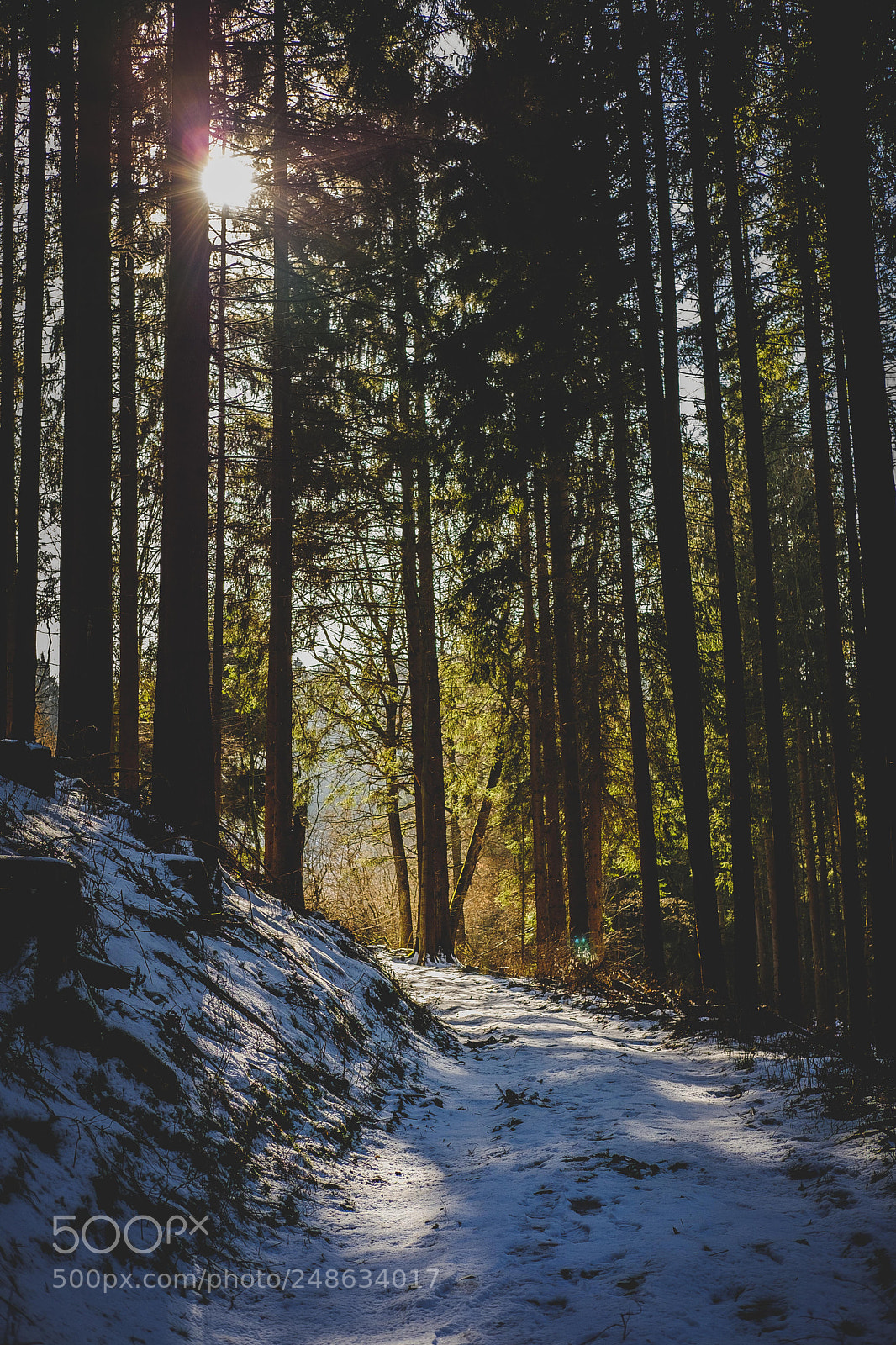 Fujifilm X-T20 sample photo. Winterspaziergang photography