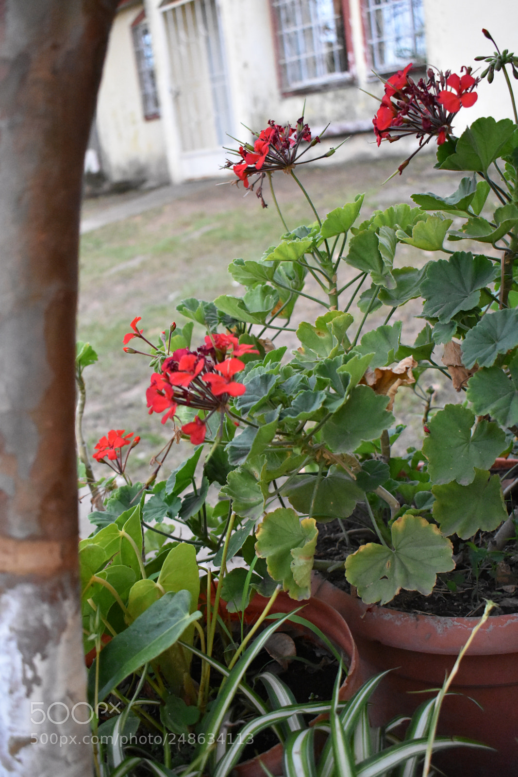 Nikon D3400 sample photo. Maravillosa, como la naturaleza photography