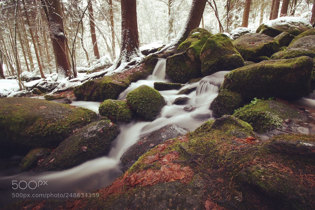Nikon D5500 sample photo. Höllbachtal photography