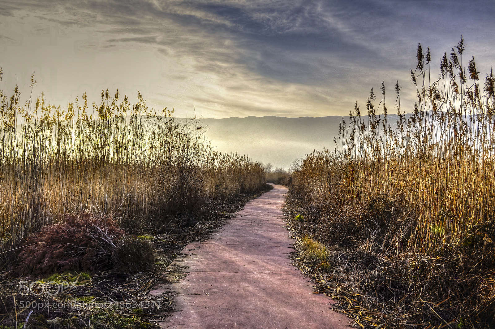 Nikon D5000 sample photo. Path photography