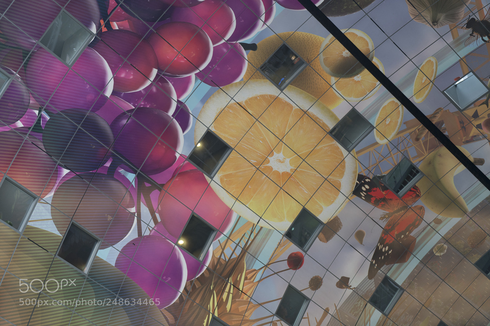 Sony a7R II sample photo. Ceiling markthal rotterdam photography