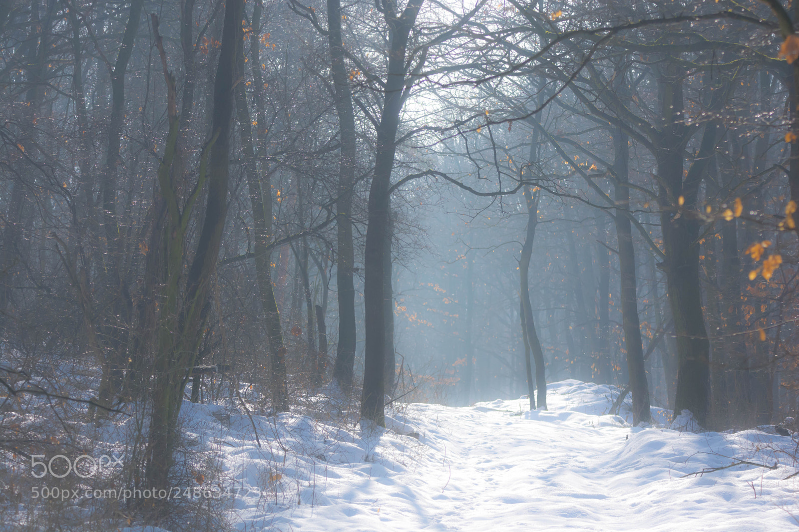 Nikon D7100 sample photo. . photography