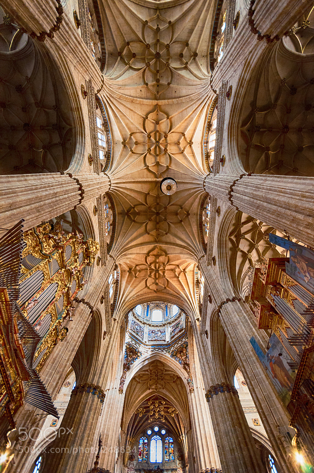 Nikon D90 sample photo. Catedral de salamanca photography