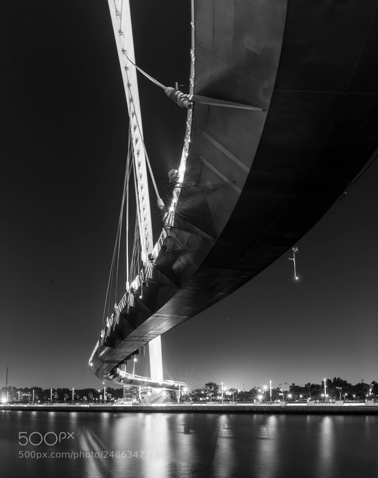 Nikon D610 sample photo. Dubai water canal hanging photography