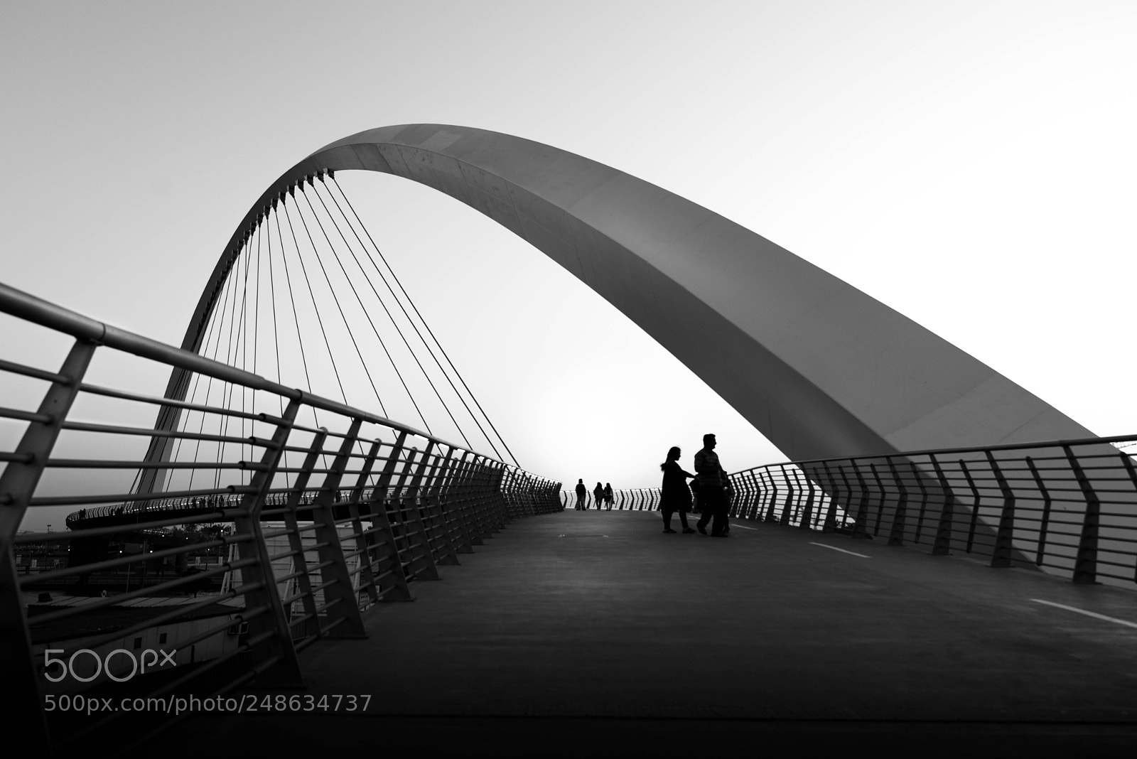 Nikon D610 sample photo. Dubai water canal hanging photography