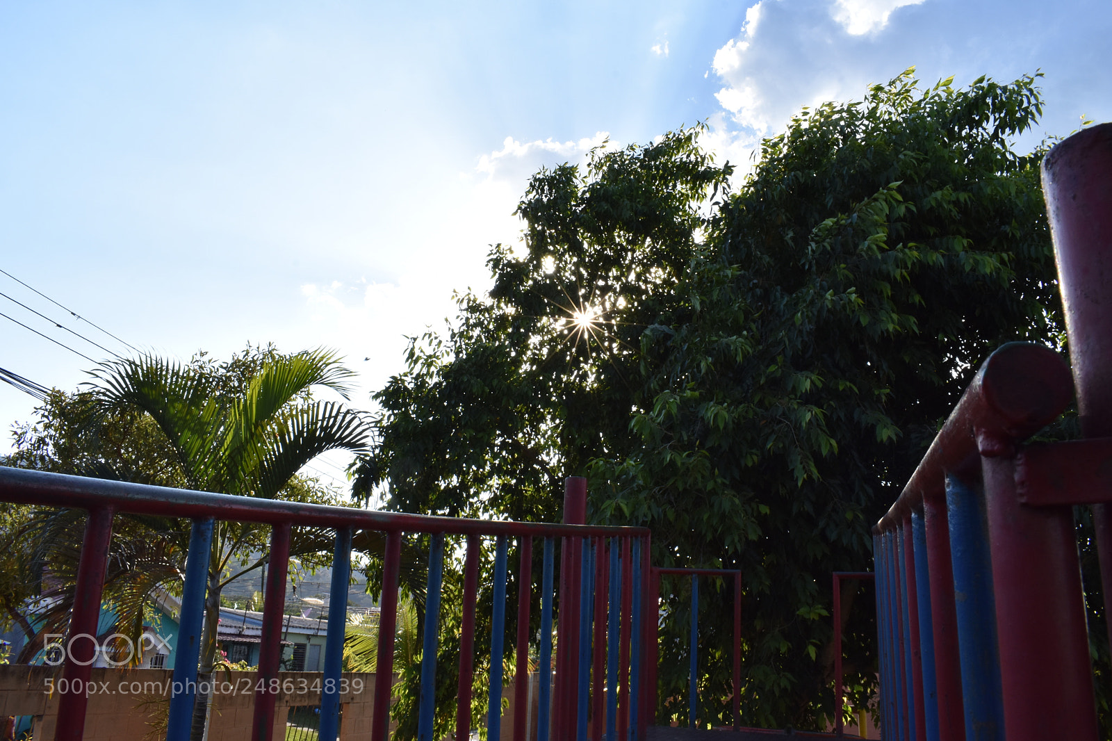 Nikon D3400 sample photo. Renacer photography