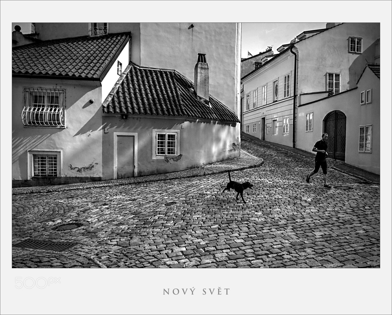 Canon EOS 450D (EOS Rebel XSi / EOS Kiss X2) sample photo. Novy svet photography