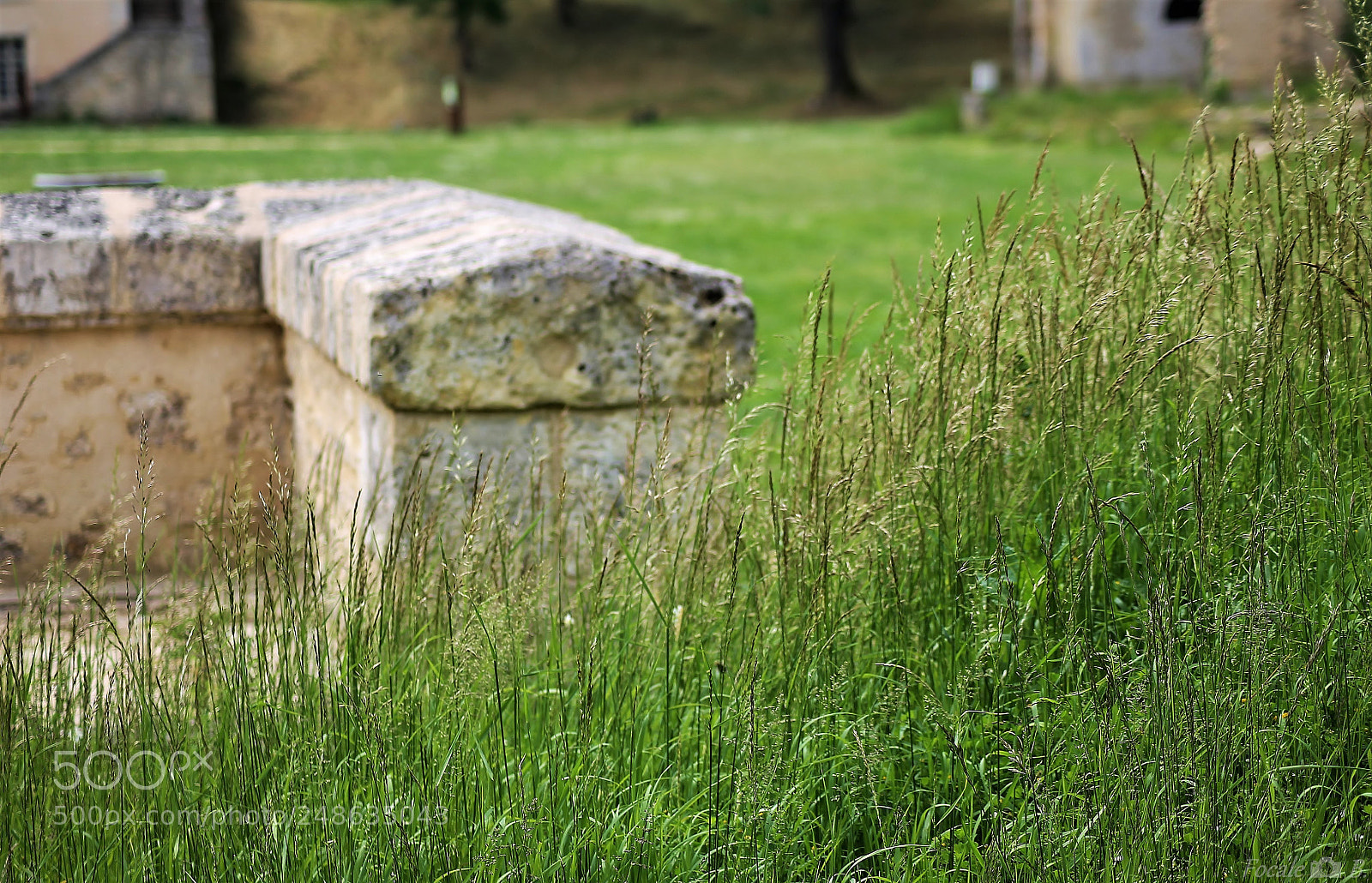Canon EOS 1100D (EOS Rebel T3 / EOS Kiss X50) sample photo. Cussac-fort-médoc , france photography