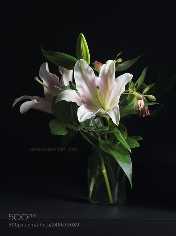 Nikon D800 sample photo. Pink lily with alstroemeria photography