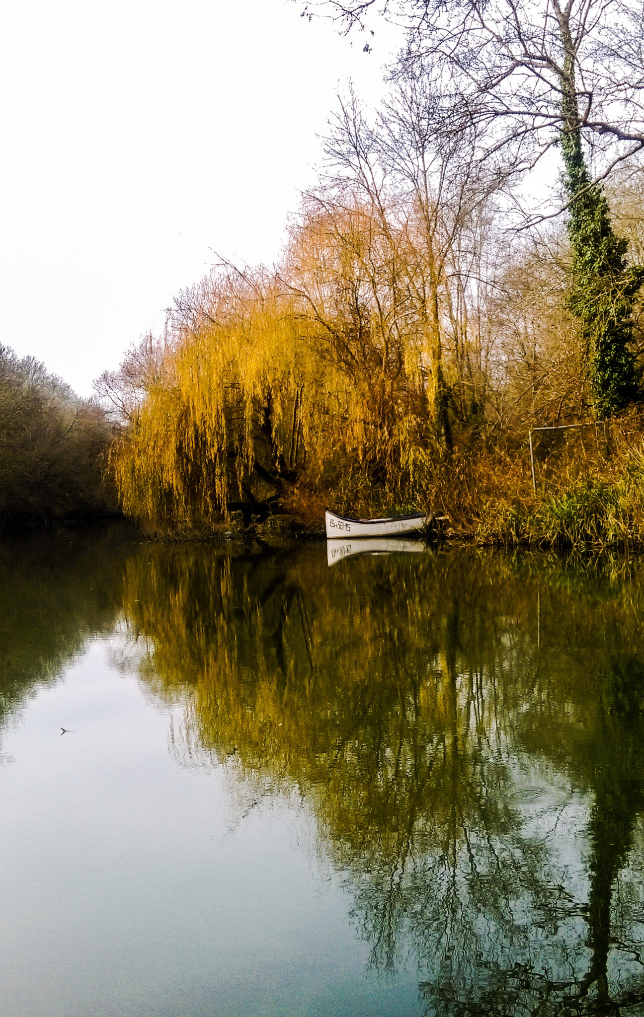 HTC DESIRE 820 sample photo. Lonely in the river photography